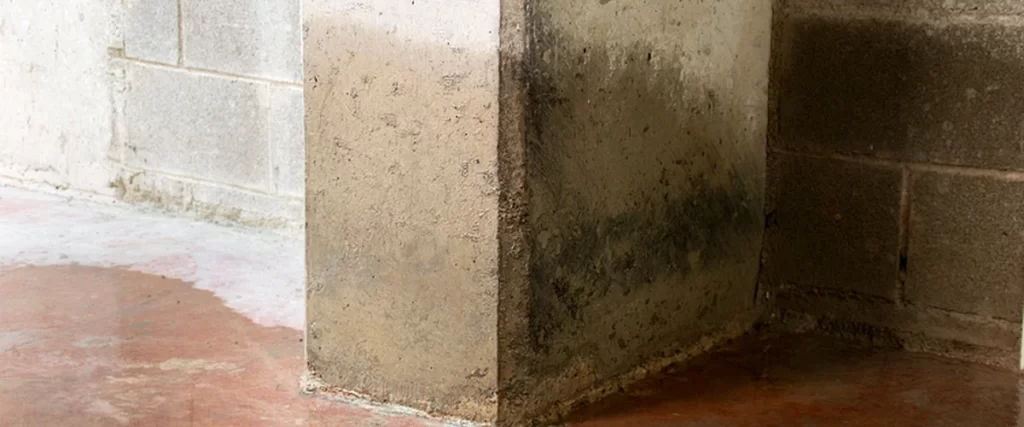 basement moisture matawan nj home remodeling moisture damaged concrete basement corner with visible water stains on floor
