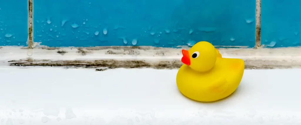 a classic yellow rubber duck in a bathtub setting with significant black mold growth along the caulk line and grout
