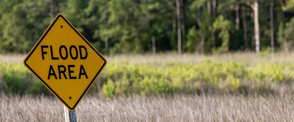 A yellow diamond-shaped sign that reads "FLOOD AREA" standing in a grassy field with a blurred forest background in a flood zone.